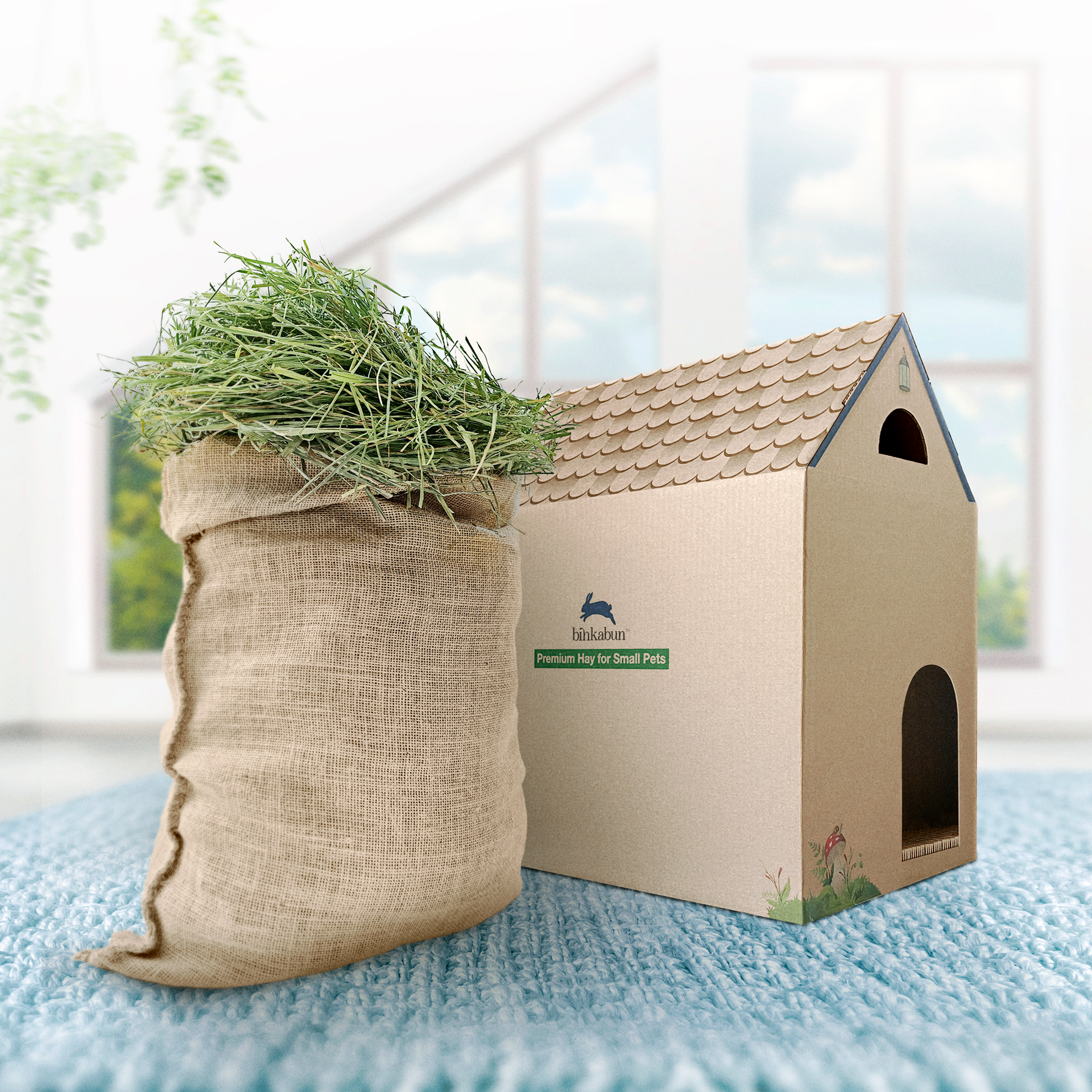 Hay & Play with 5 lbs. of Orchard Grass Hay – Binkabun